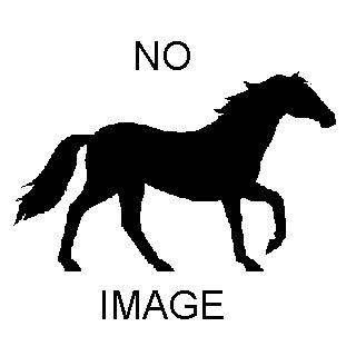 Registered Walking Horse For Sale